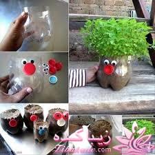 ایده ای زیبا برای سبزه ی سفره هفت سین